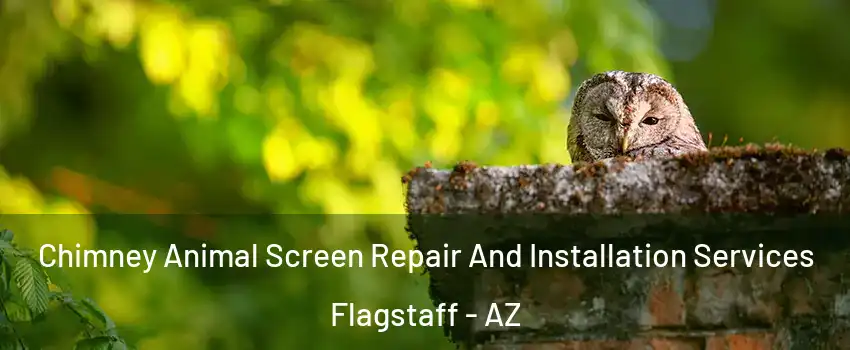  Chimney Animal Screen Repair And Installation Services Flagstaff - AZ
