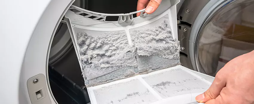 Best Dryer Lint Removal Company in Flagstaff, Arizona