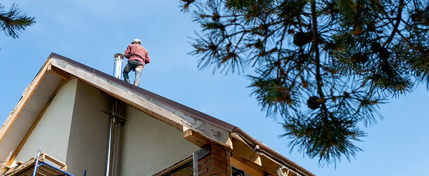 Birds Removal Contractors from Chimney in Flagstaff, AZ