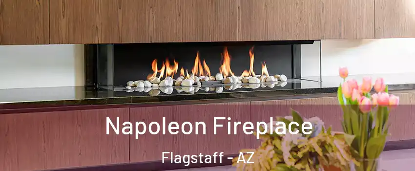  Napoleon Fireplace Flagstaff - AZ